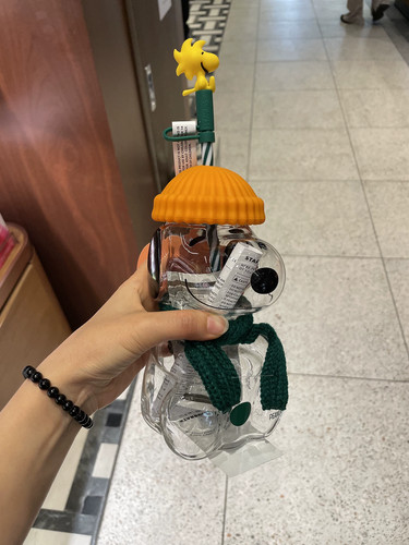 2026 snoopy starbucks glass - x,